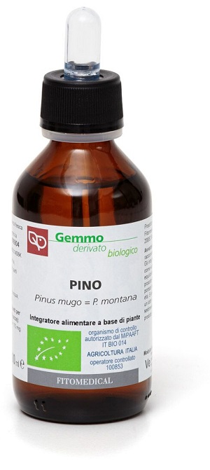 PINO MACERATO GLICERINATO BIO 100 ML - Farmacia Puddu Baire S.r.l.