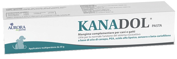 KANADOL PASTA 30 G - Farmacia Puddu Baire S.r.l.