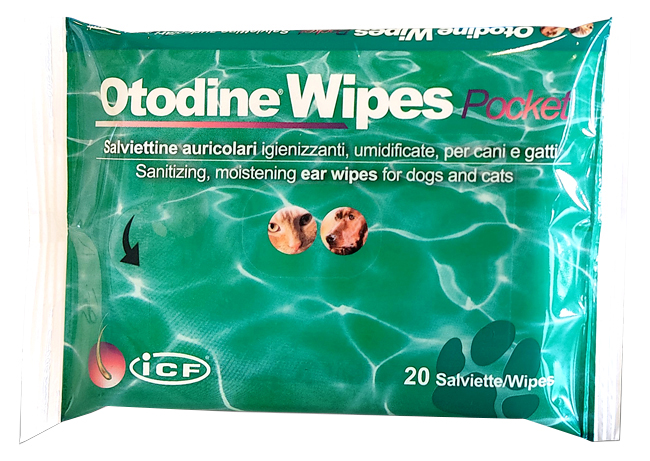 OTODINE WIPES POCKET 20 PEZZI - Farmacia Puddu Baire S.r.l.