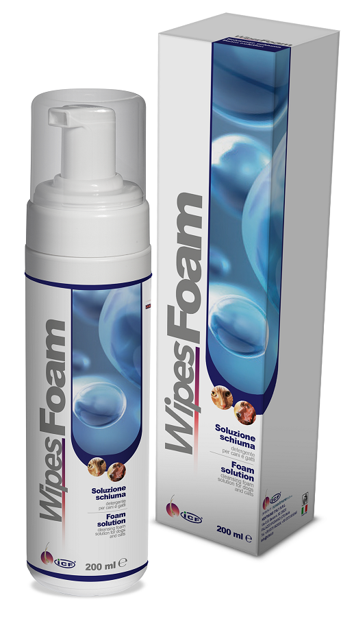 WIPES FOAM 200 ML - Farmacia Puddu Baire S.r.l.